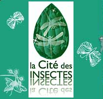 cité des insectes